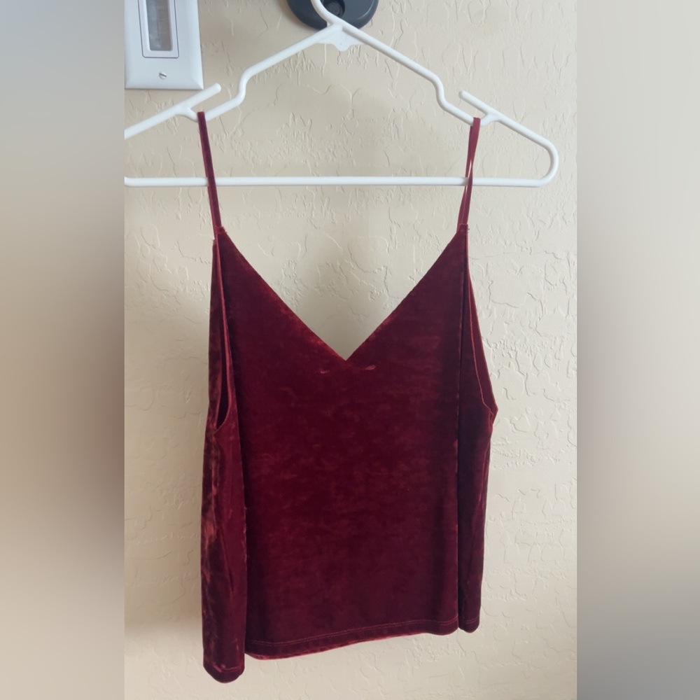 Velvet blouse